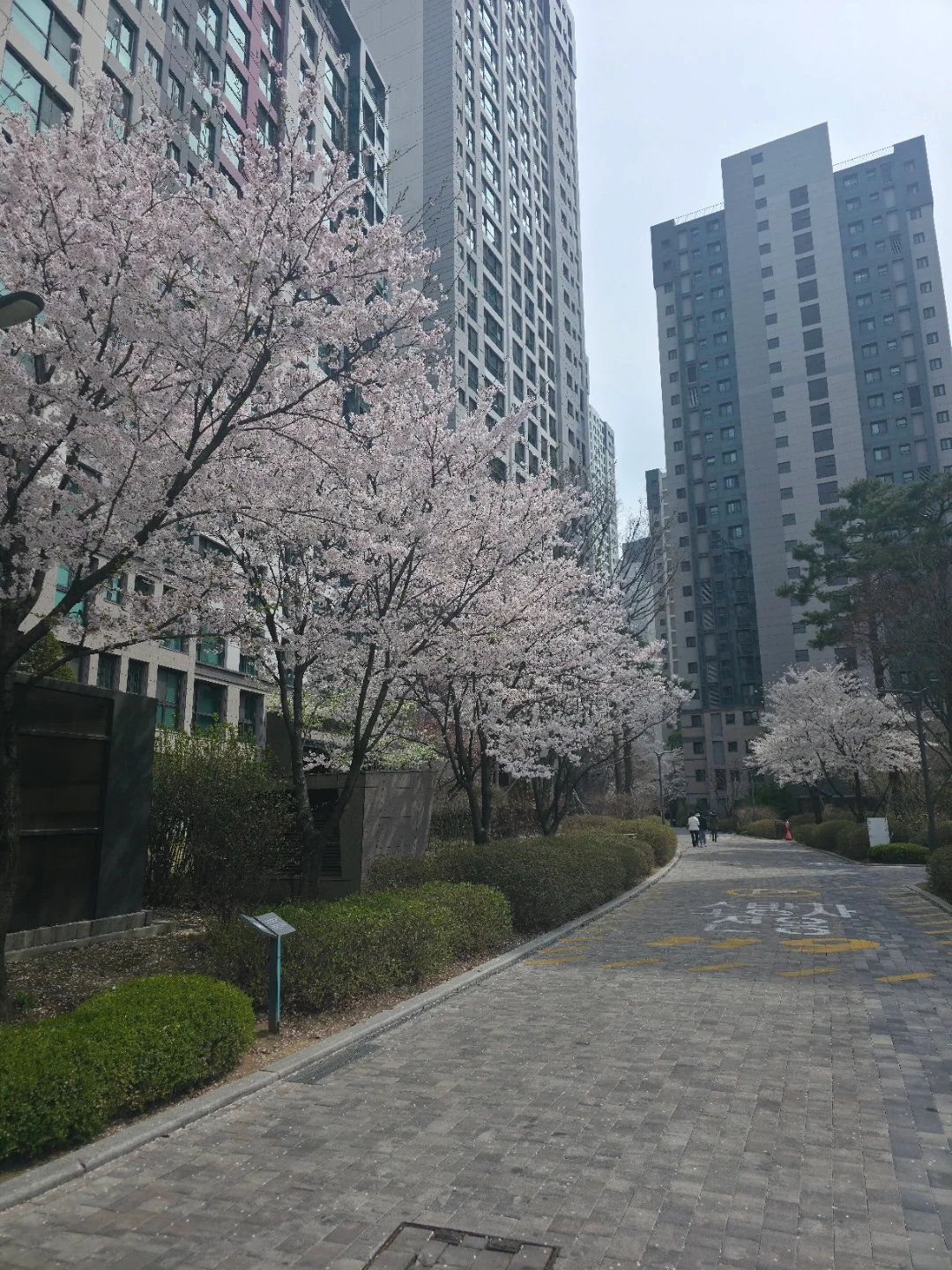 청소, 정리, 음식 솜씨 좋으신 이모님 찾습니다.