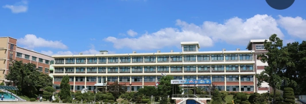 대월초급식실 수목 도와주실분