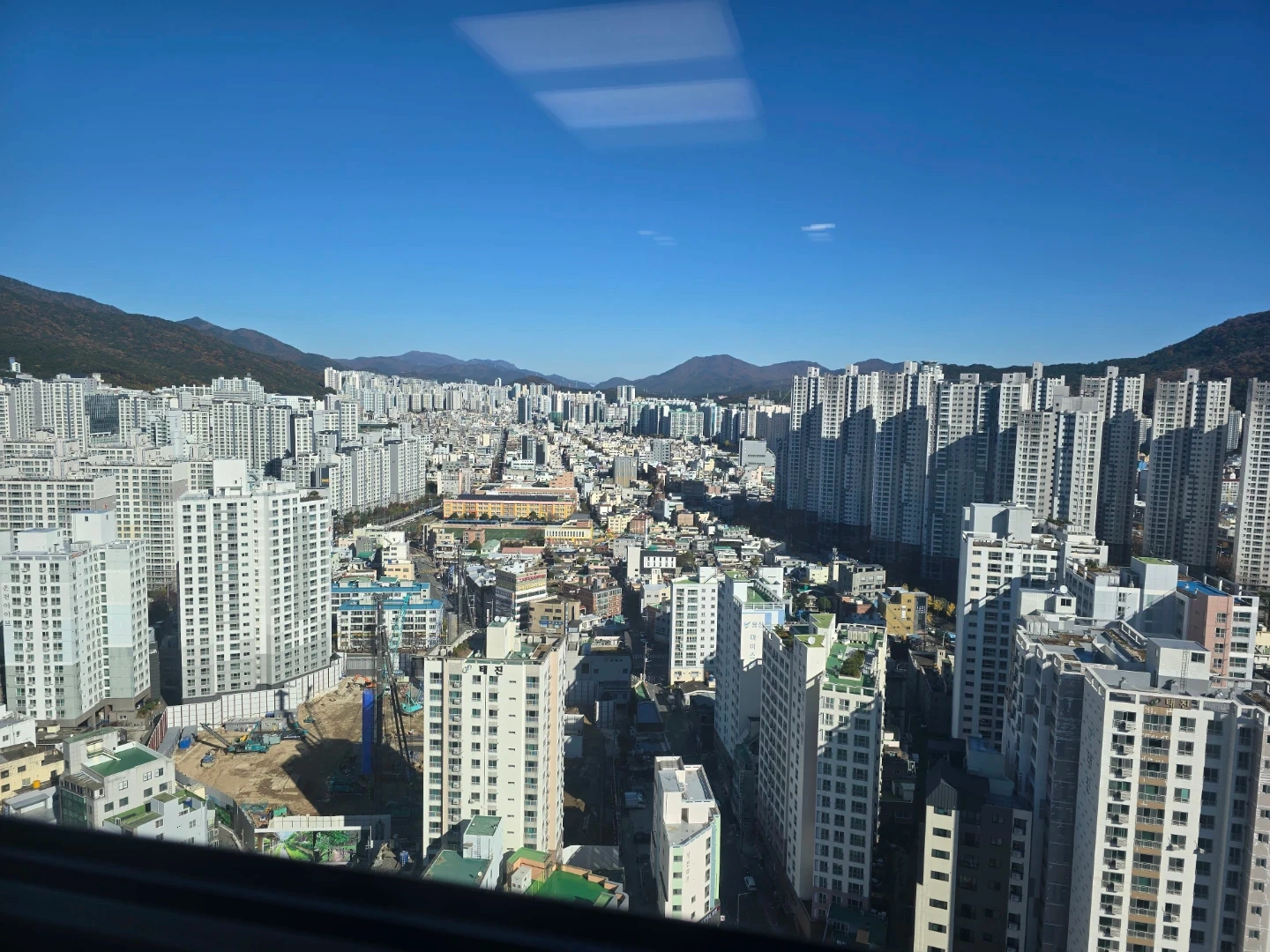 가사도우미 월요일~토요일