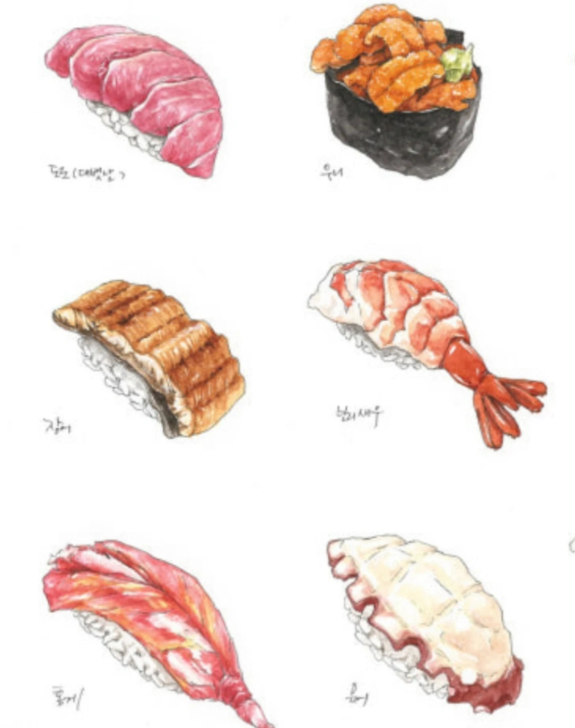 초밥 회 참치