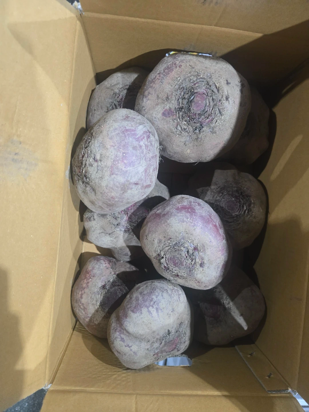 가락시장 서울청과(주)삼익농장에서 함께하실 직원분구합니
