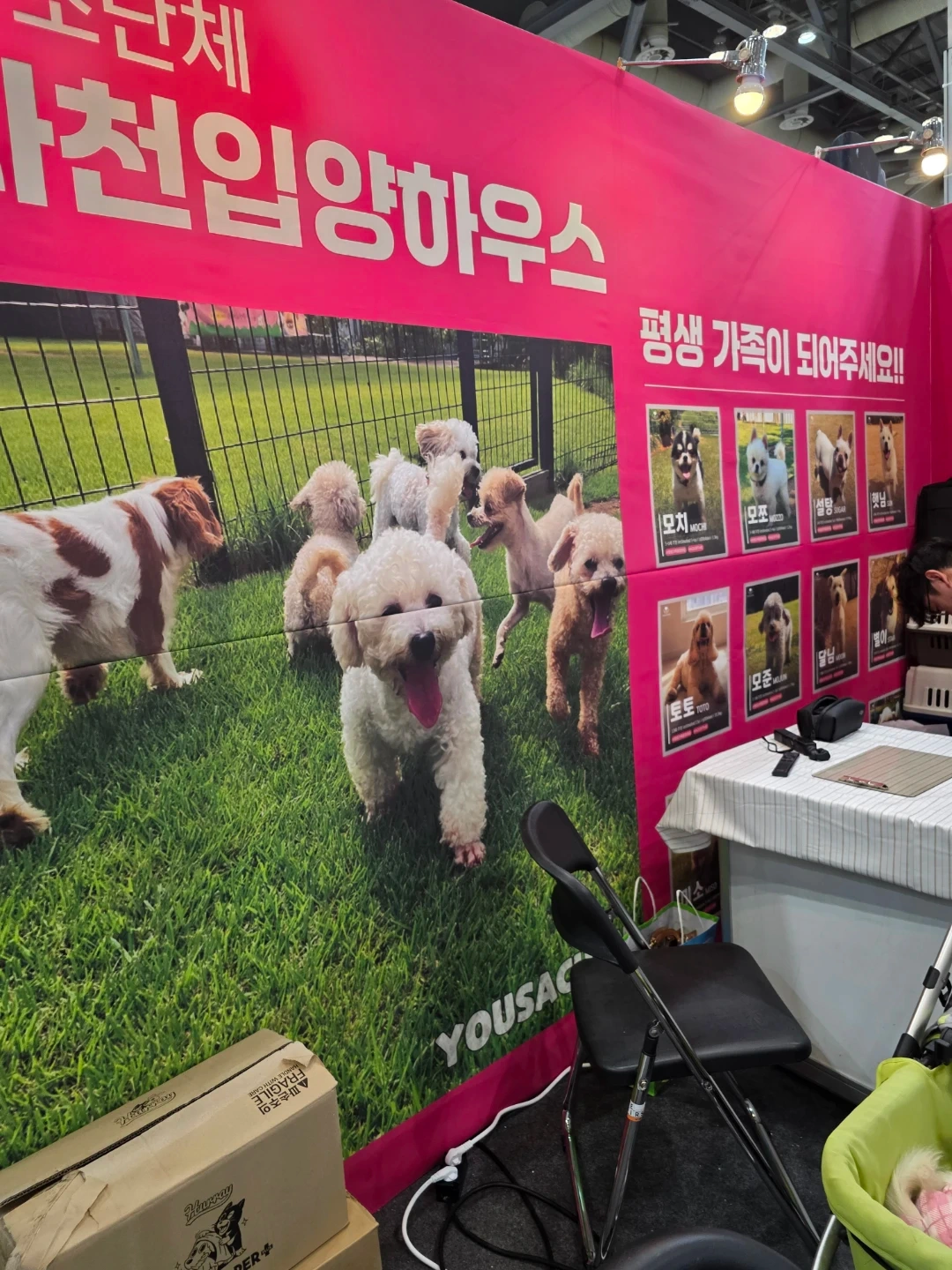 유사천 유기견보호소