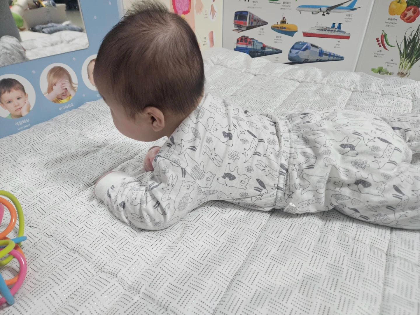 야간시터님 급구 저좀 도와주세요