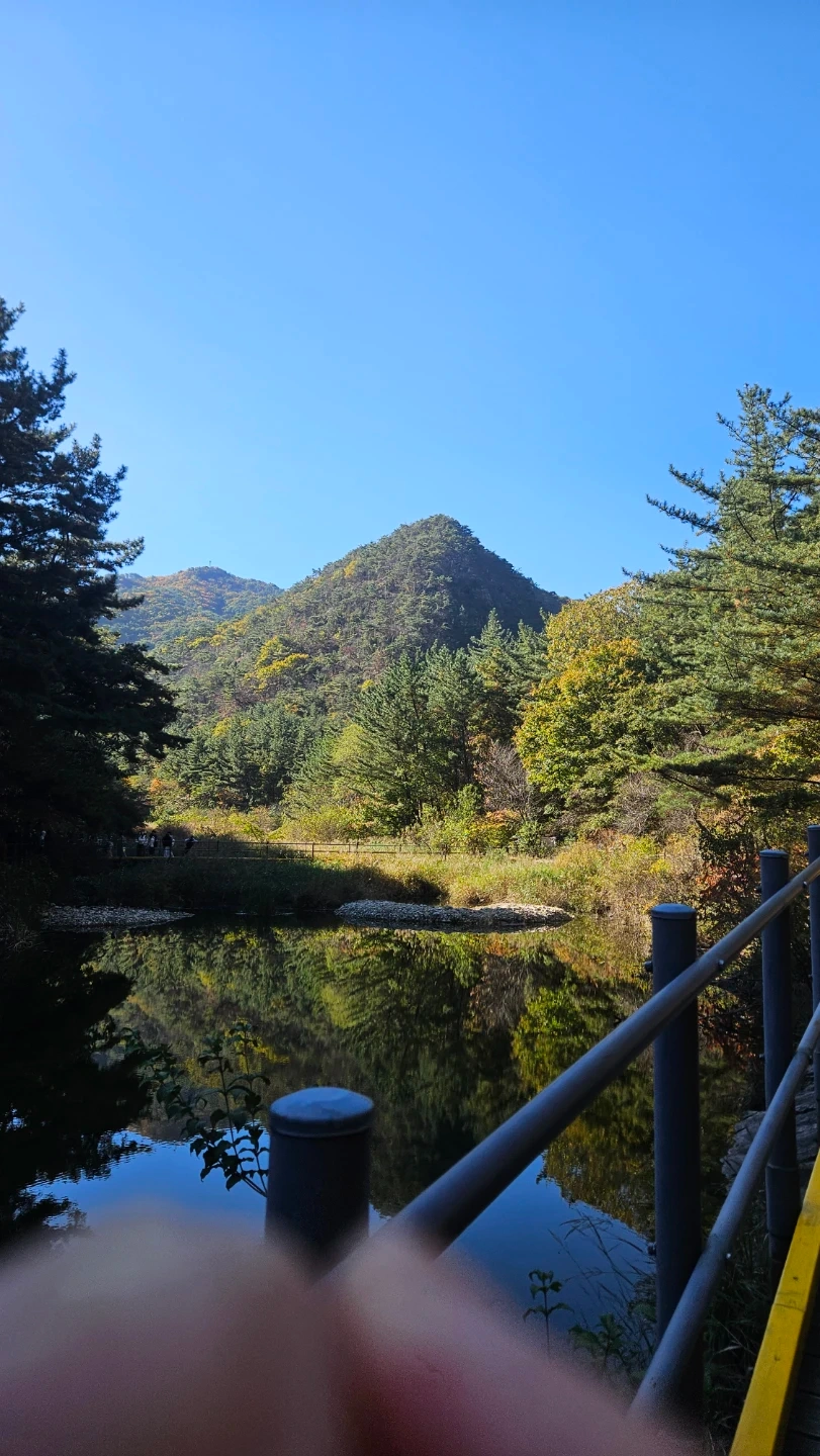 운동, 유산소