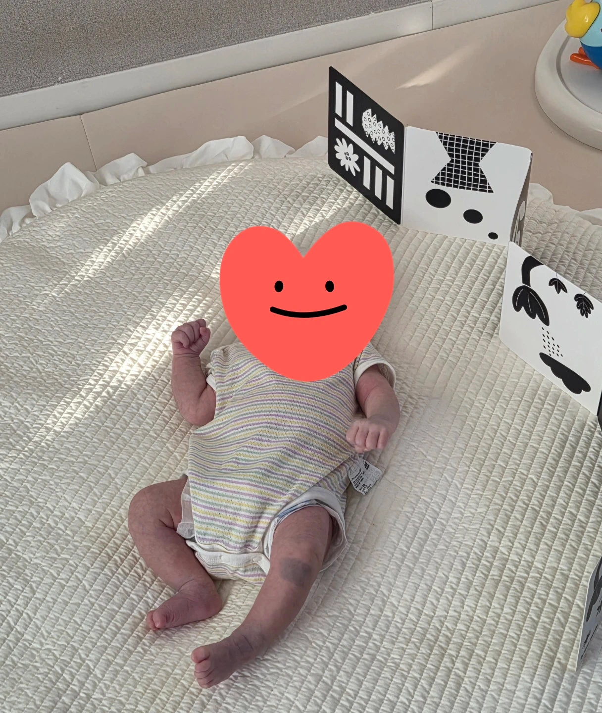 1개월 남아 베이비시터 모십니다!