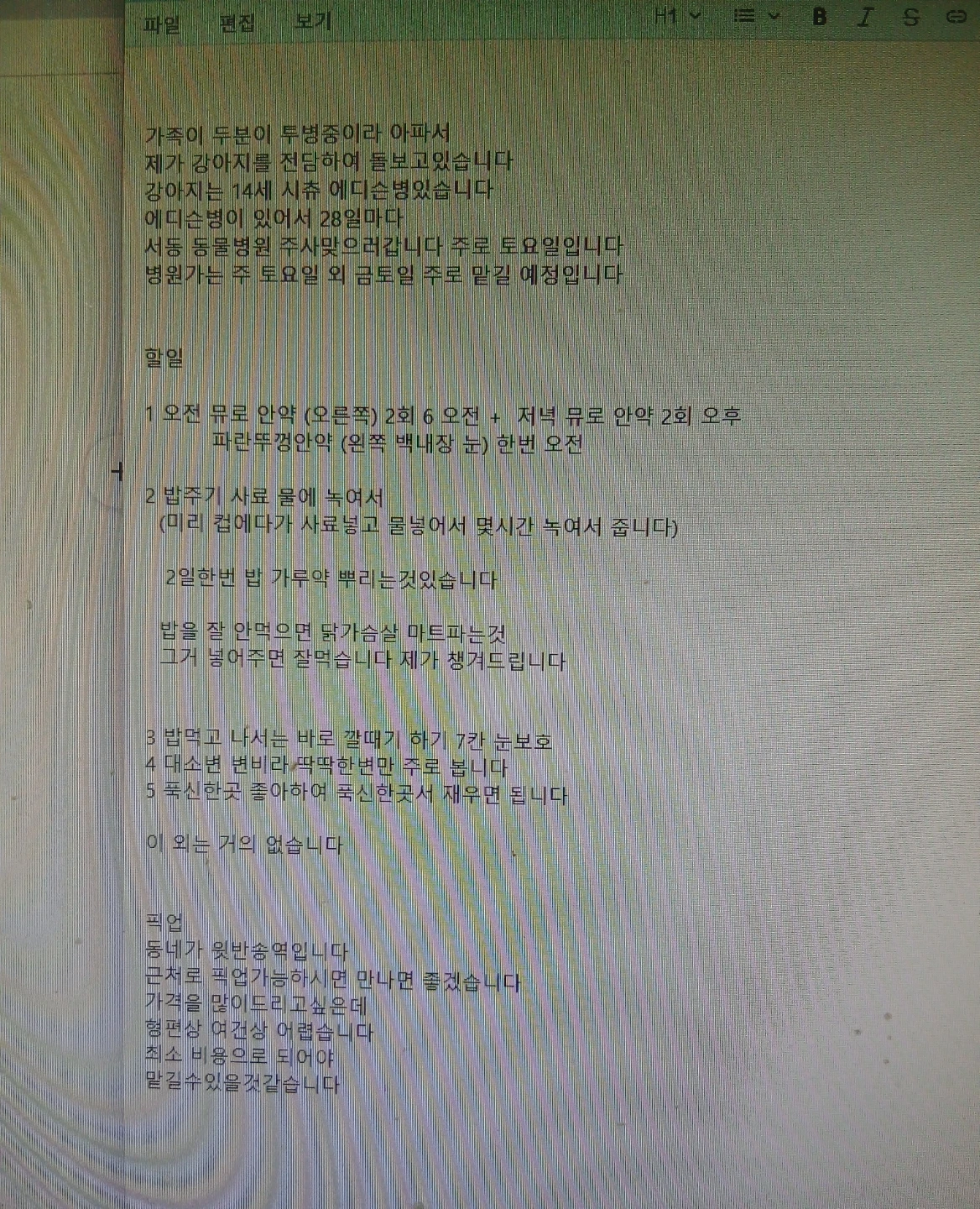 강아지 주3 위탁