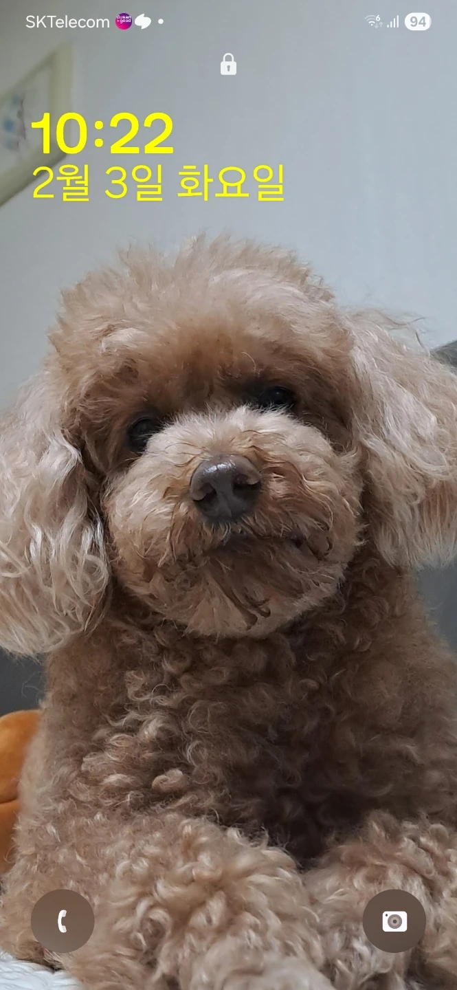 여.수학선생님 급히 모십니다