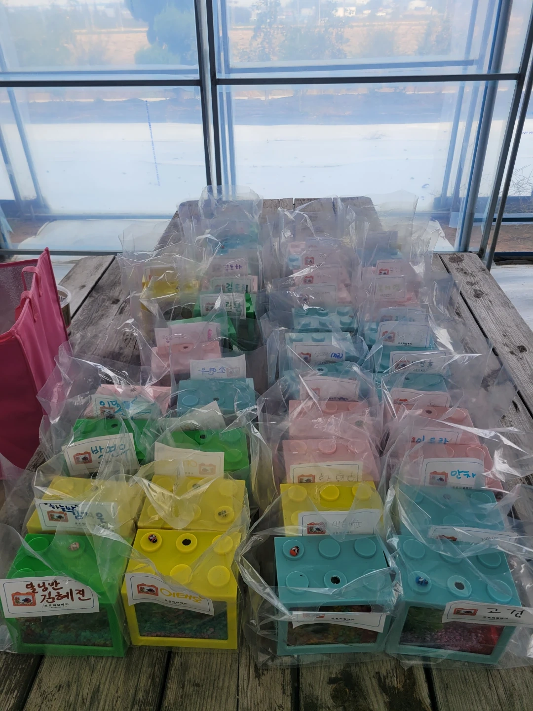 보육교사 (아이돌봄)