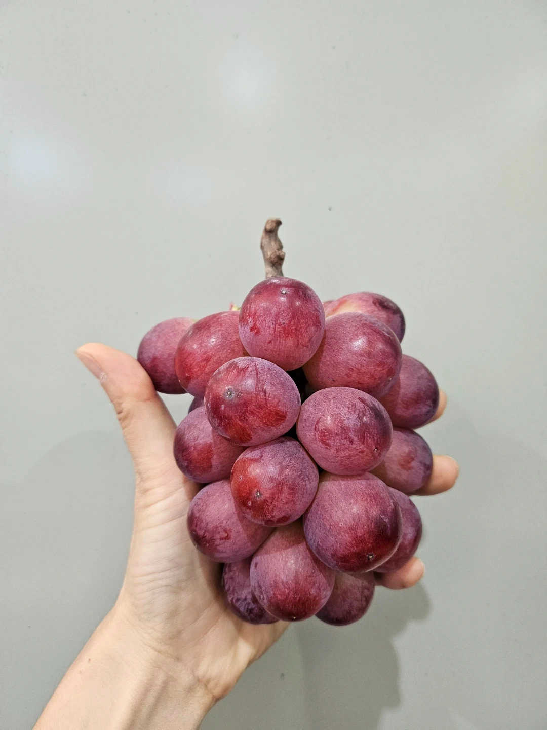 과일 선별 포장 작업장