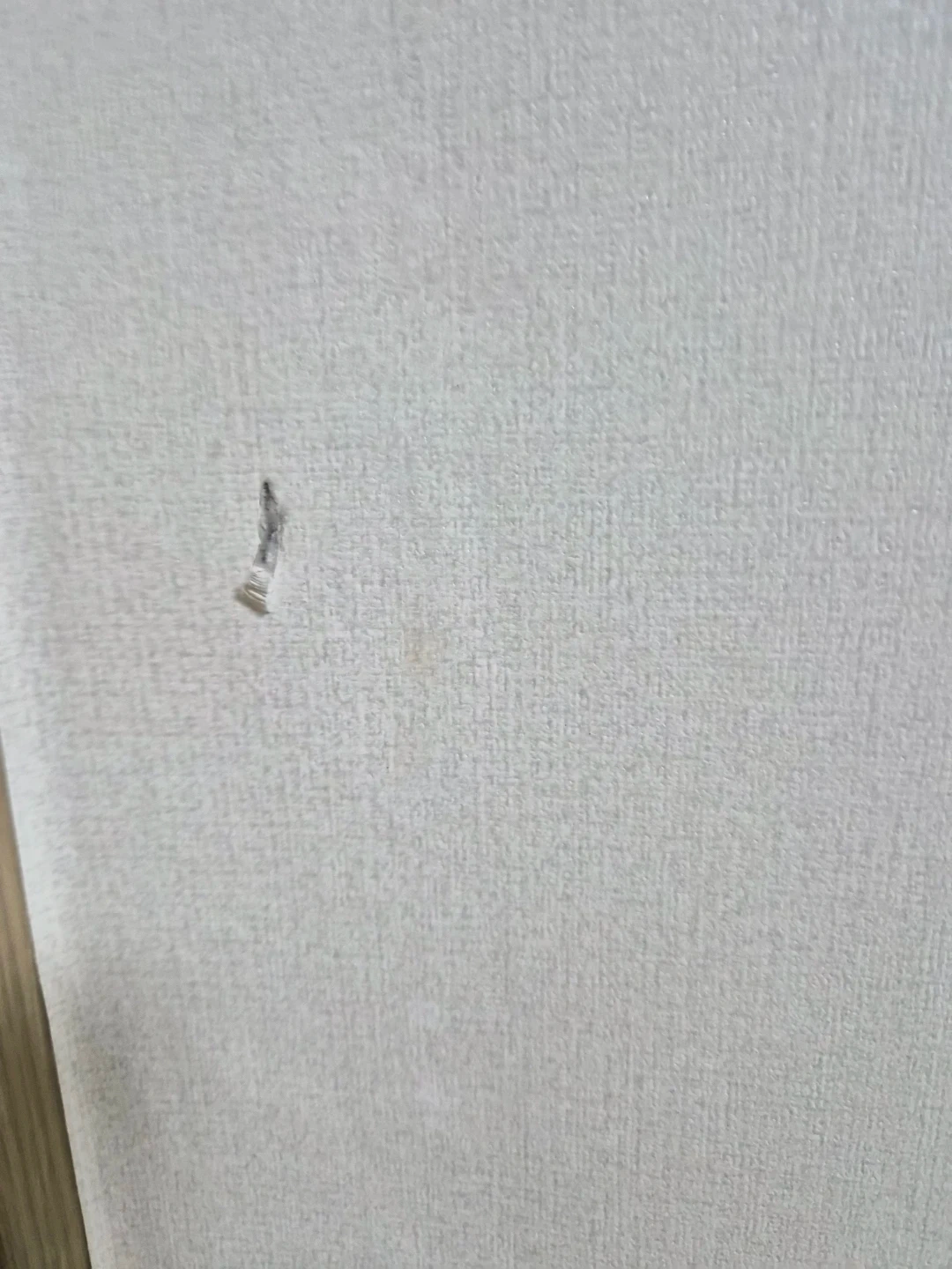 벽지보수 도와주실분