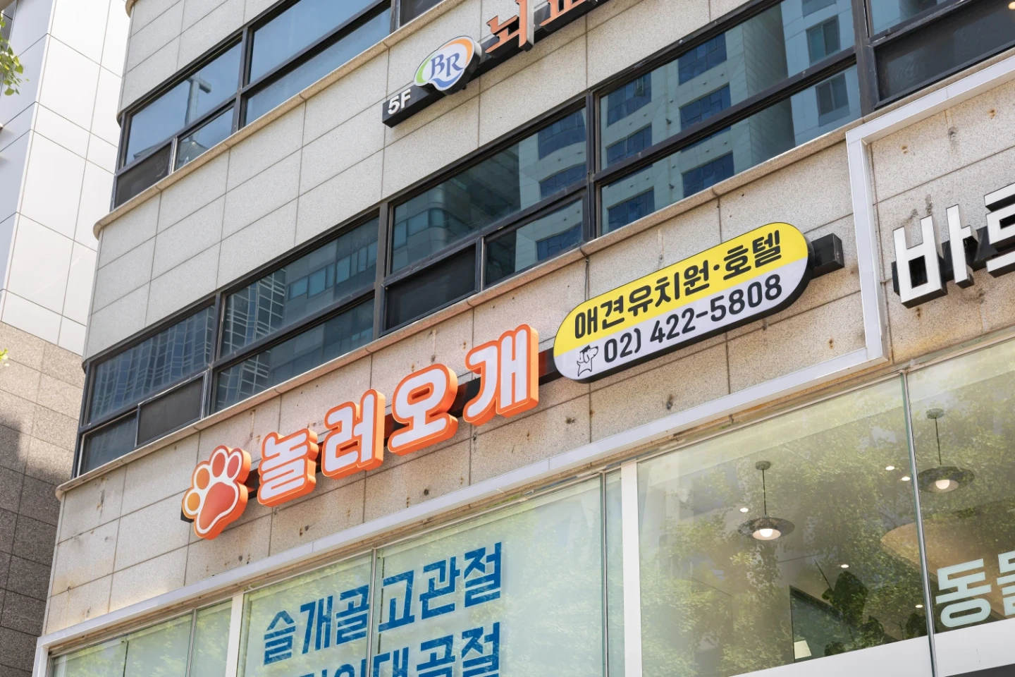 놀러오개 송파점 매니저,직원공고