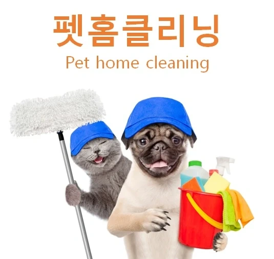 고양이 키우는 집 청소 알바 구합니다