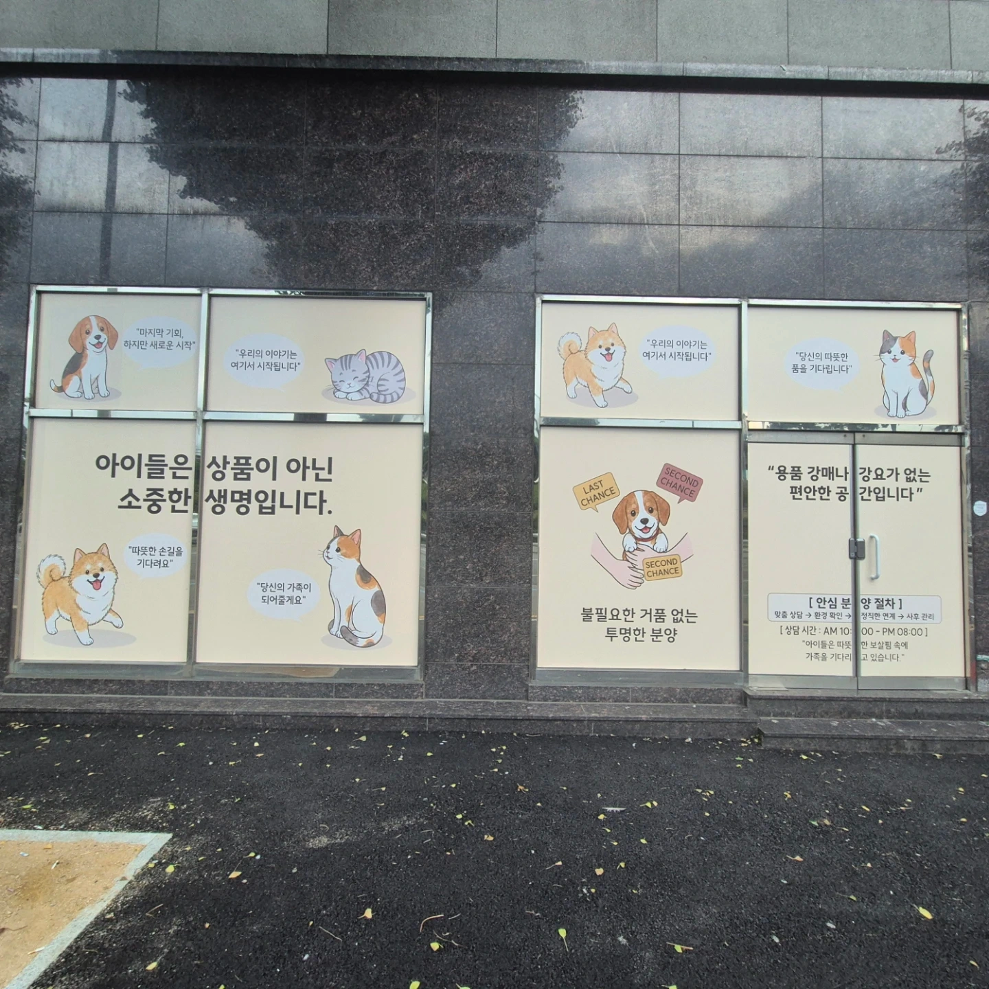 애견샵 매장관리/영상촬영 하실분~