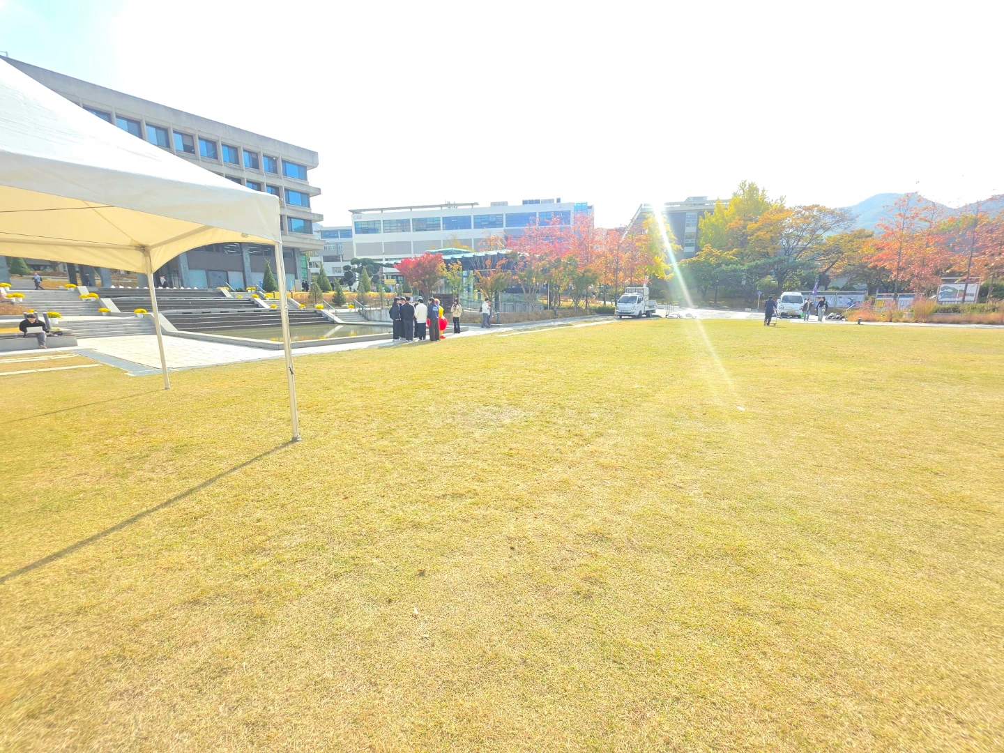 이벤트 스텝구인 강아지행사