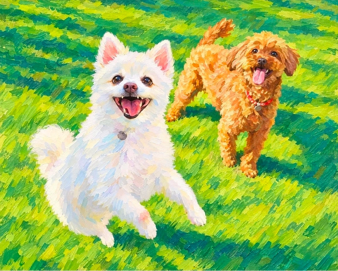 부부 혹은 친구분끼리 강아지산책 가능하신분