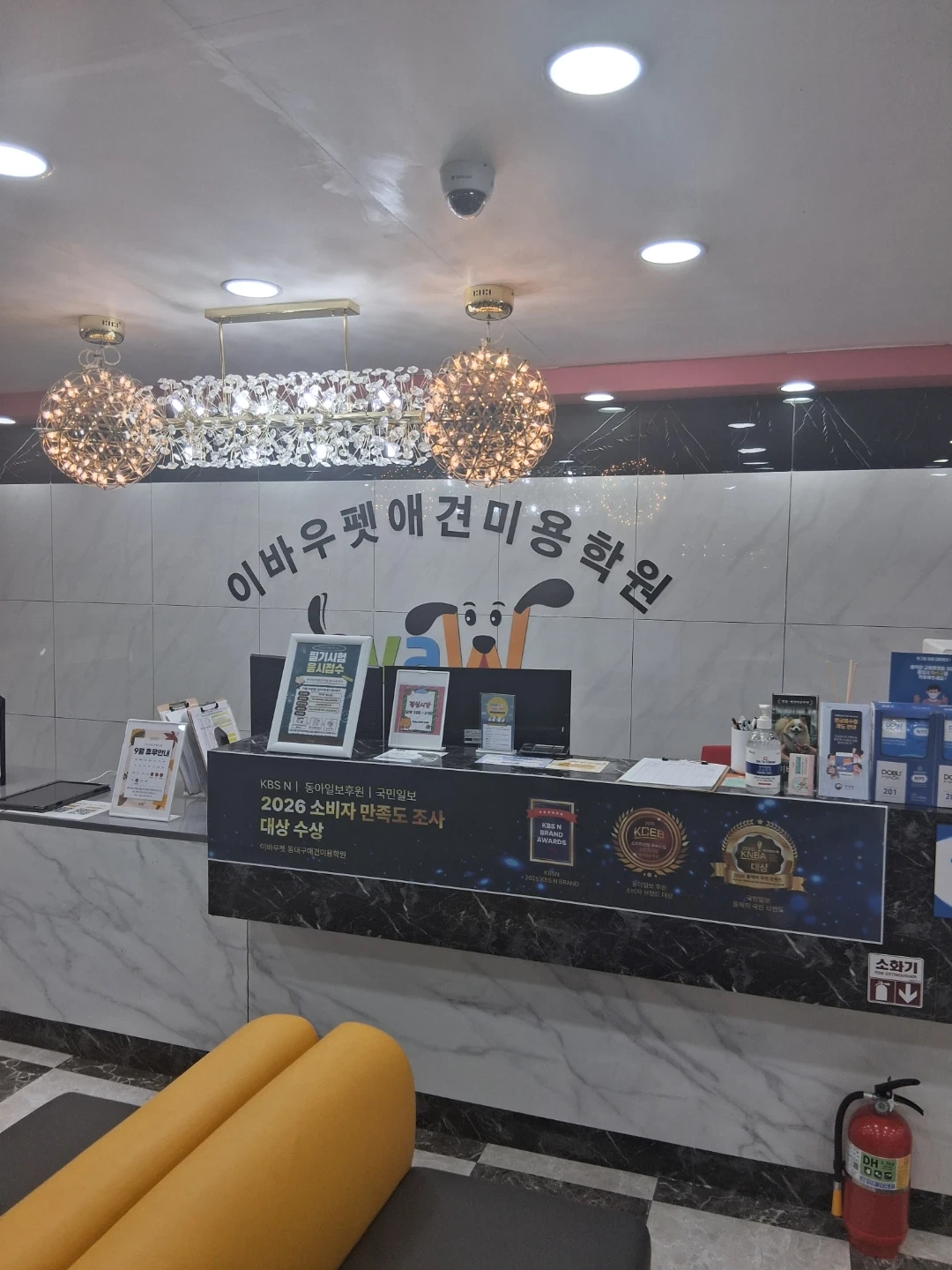 이바우펫 대구점 강사님 구인