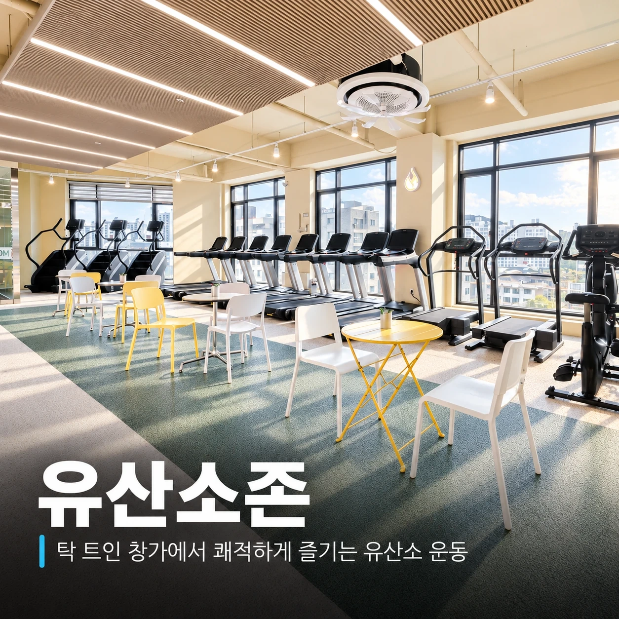 헬스장 오후 인포 모집/시급 13,000원