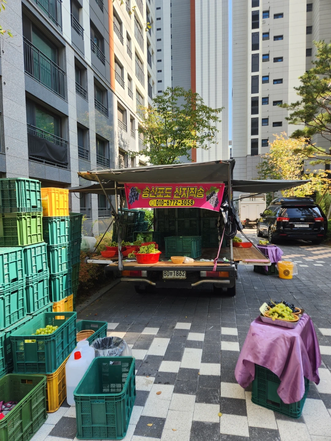 이수 브라운스톤 야시장 포도판매 알바