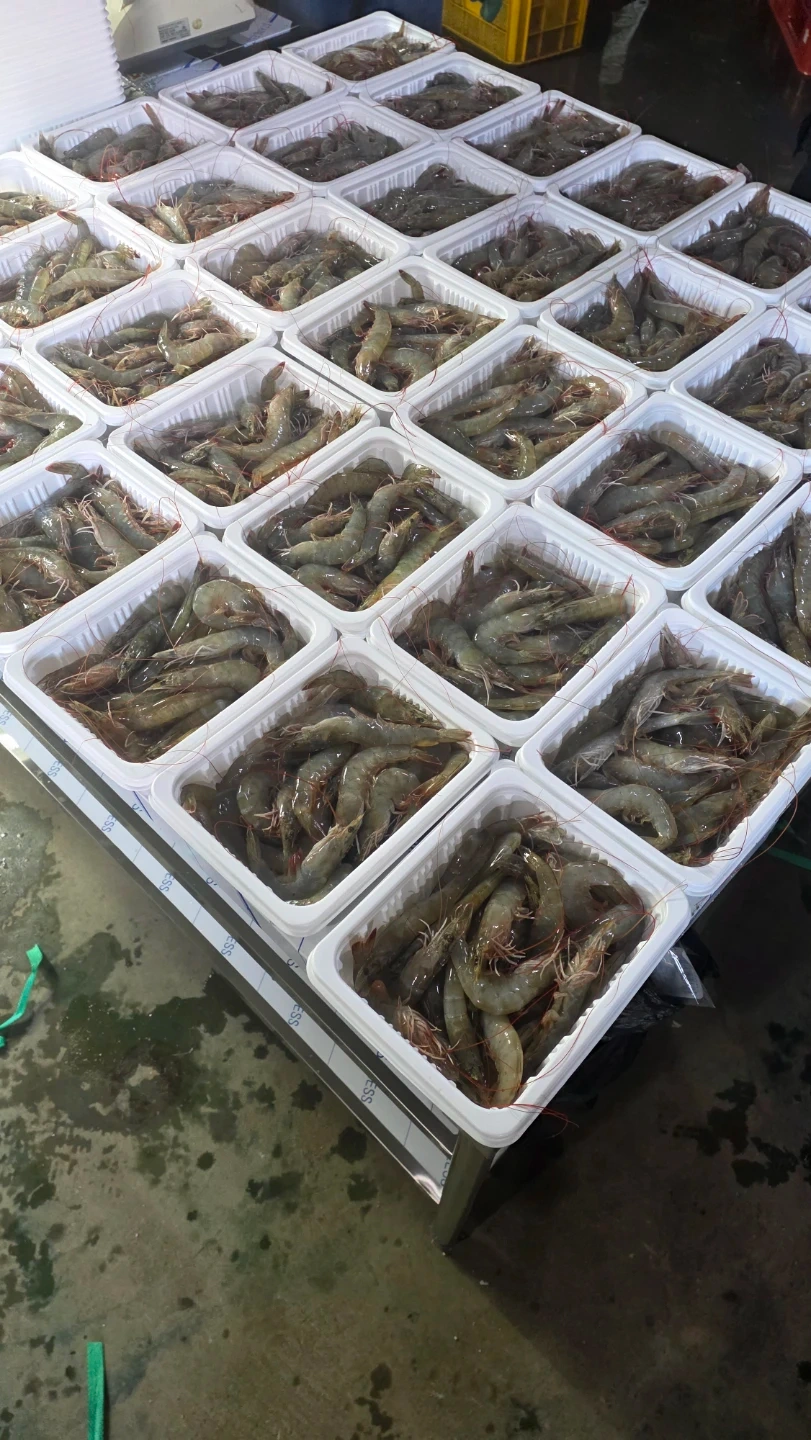 새우포장 작업단순업무 알바구합니다
