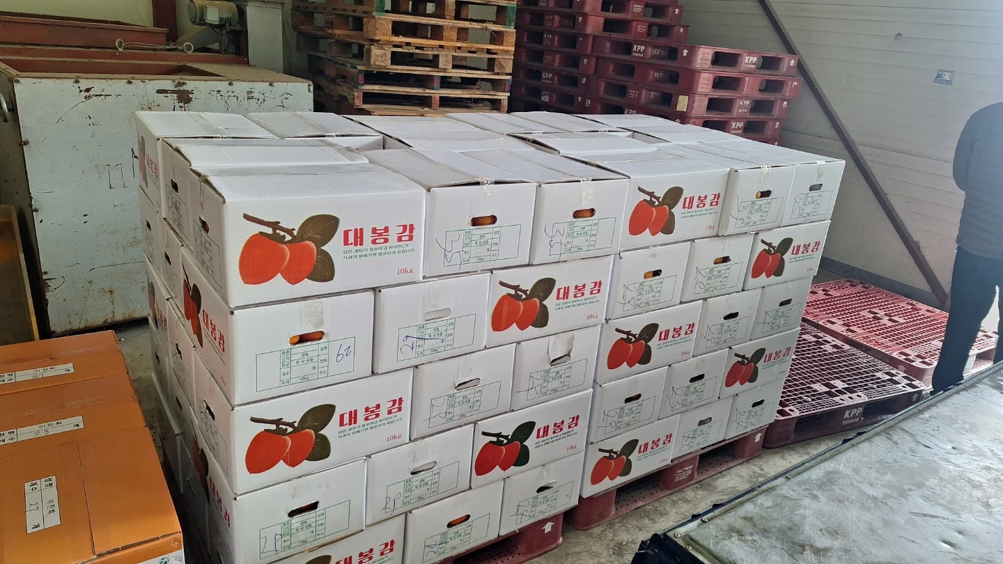 감수확 2명