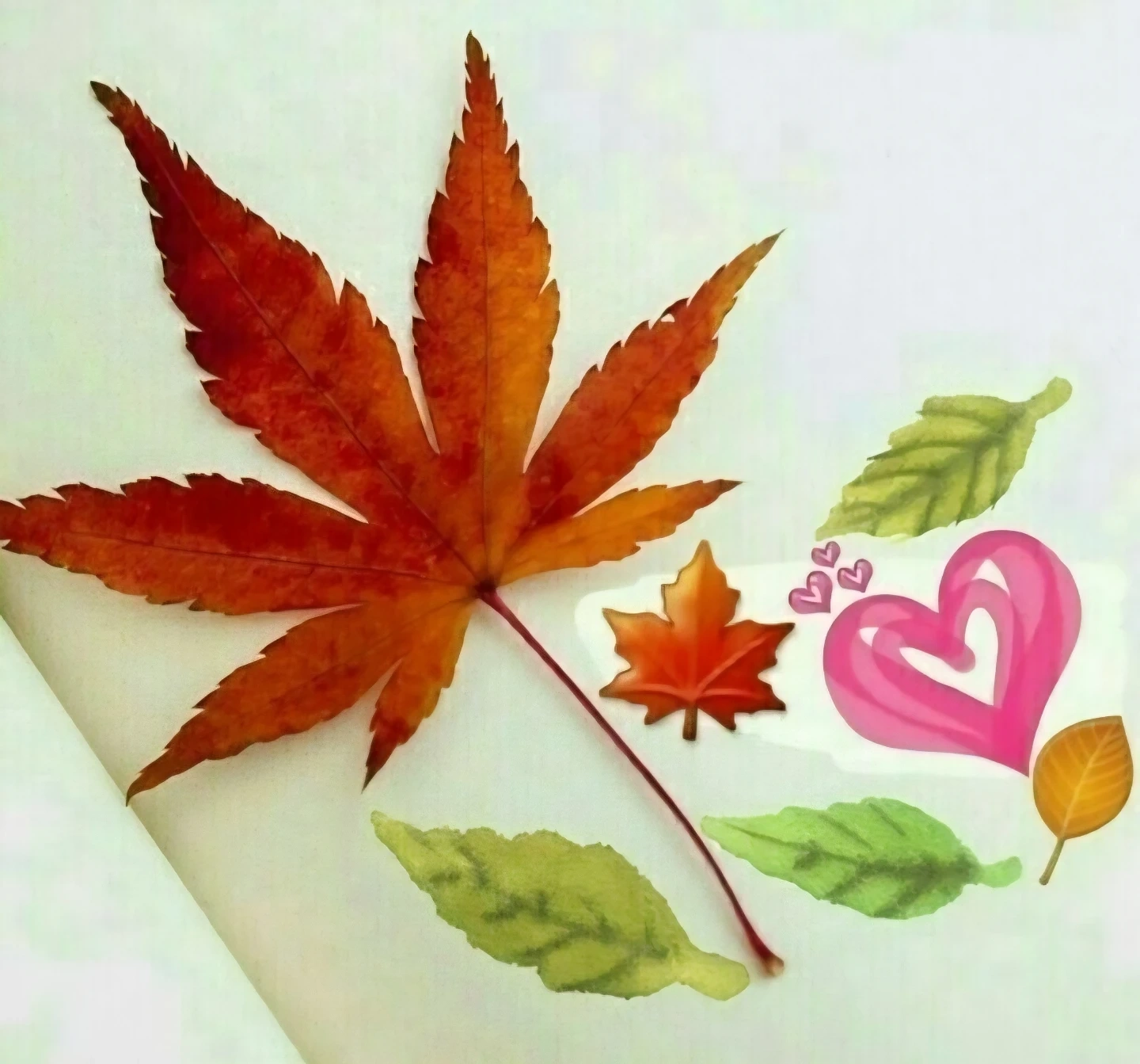 기타/올겐 레슨 선생님 찾아요