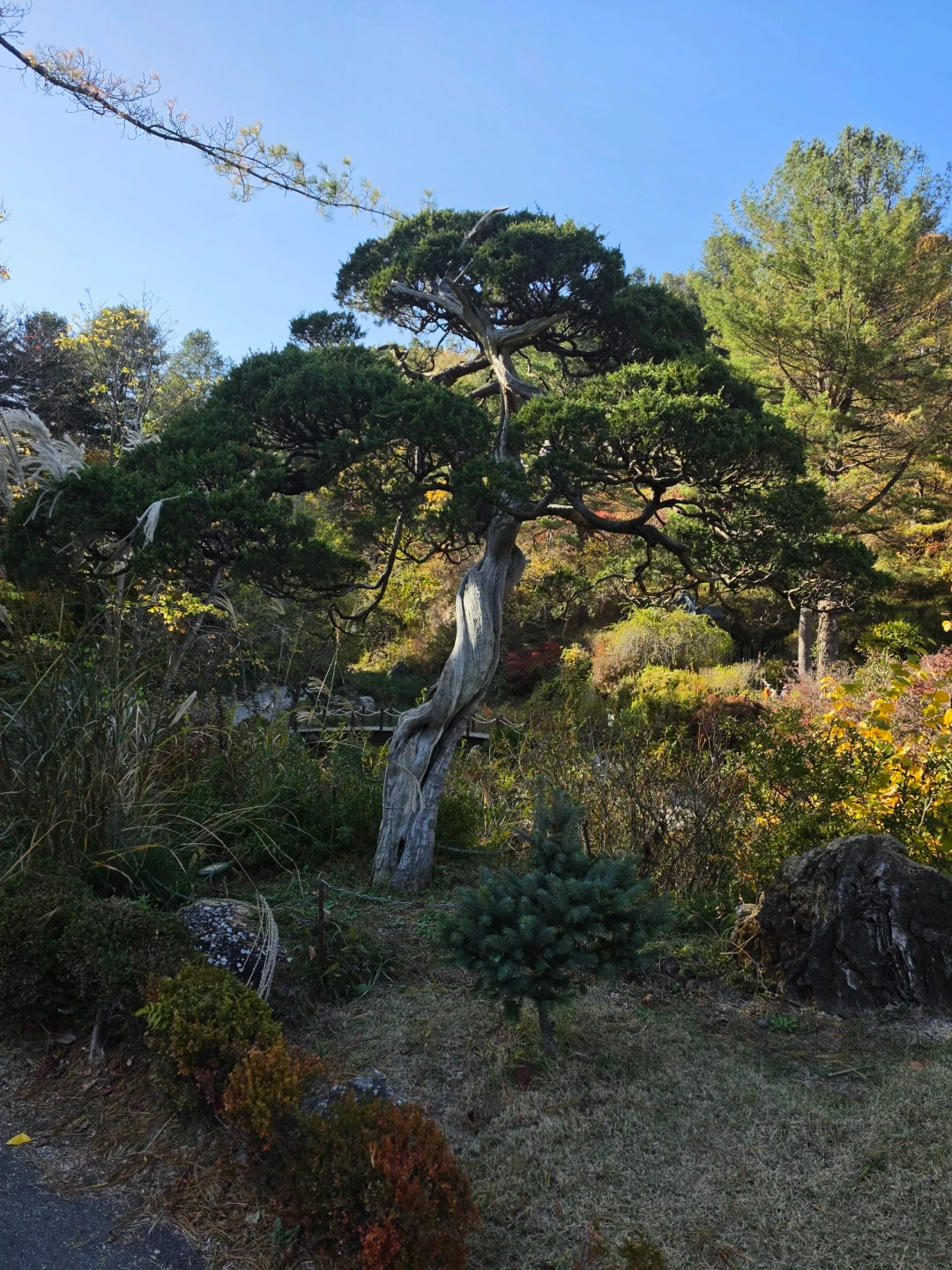 연장선생님구합니다