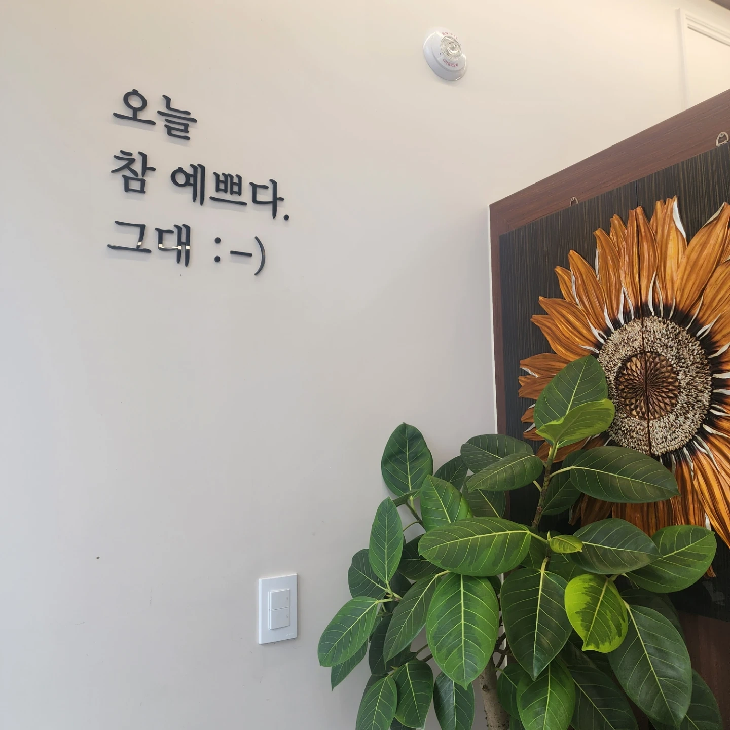 미용실 경력스텝 구합니다 (경력2년이상)