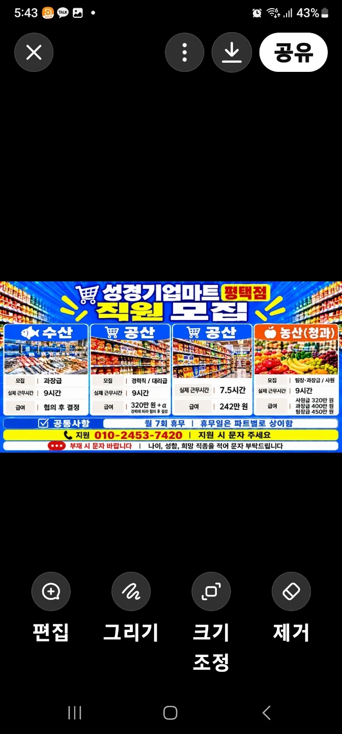 수산 공산 청과 직원모집해요