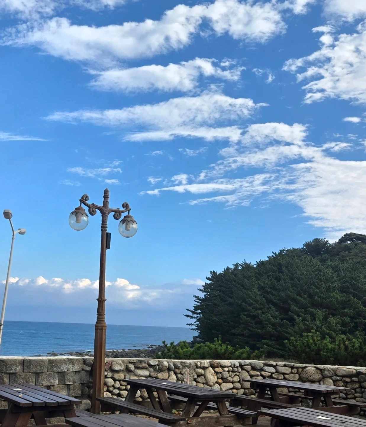 어르신돌봄입니다