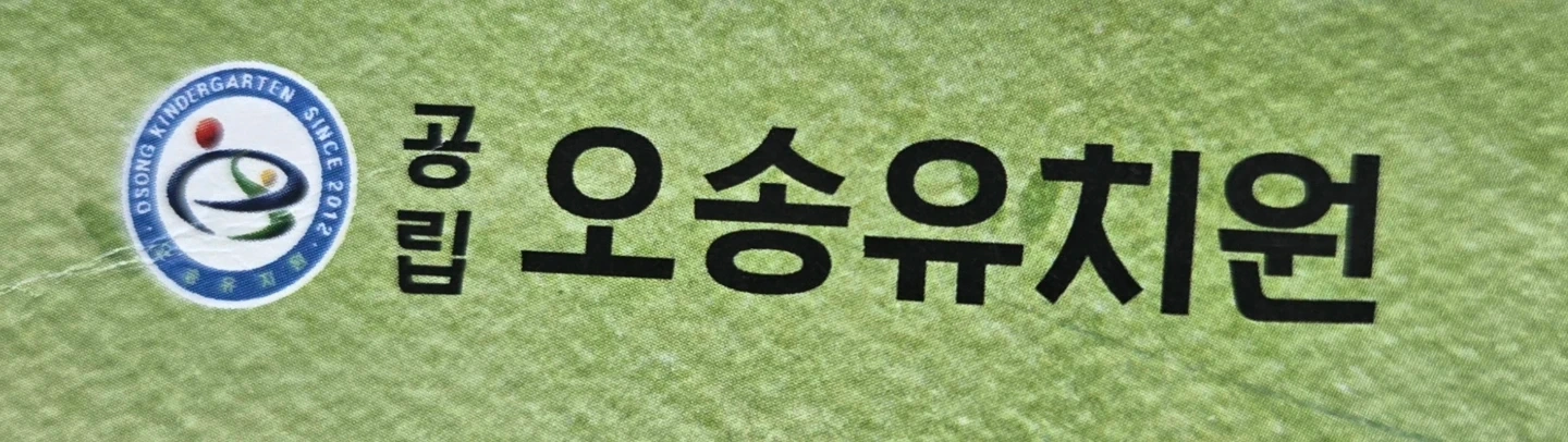 특수교육대상유아 지원활동