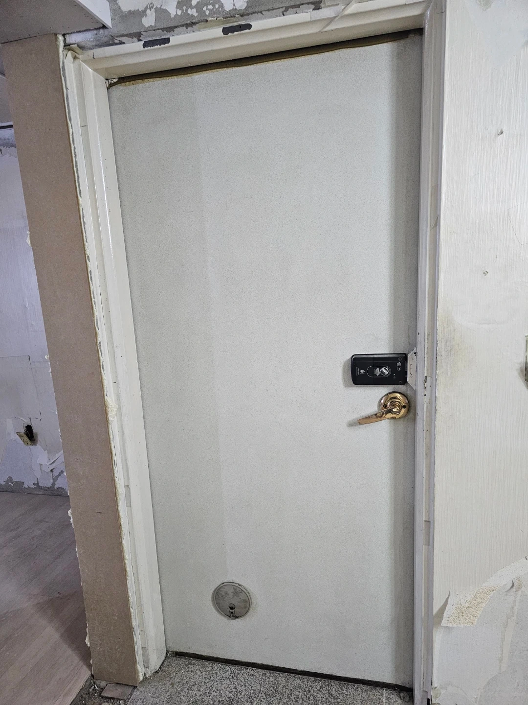 현관문필름 시공