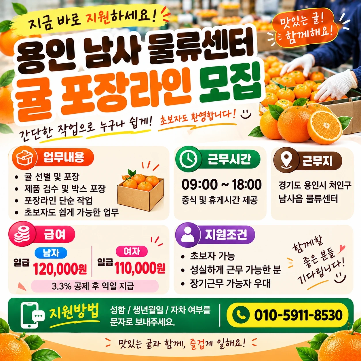 용인 남사(냉장) 물류센터 귤 포장라인 모집