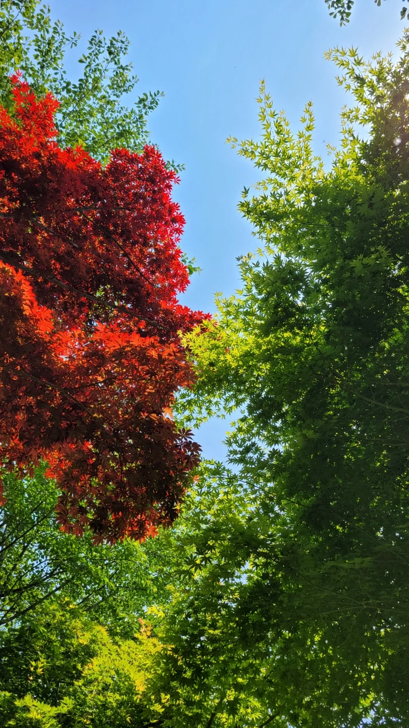 전단 알바 모집합니다(당일지급)