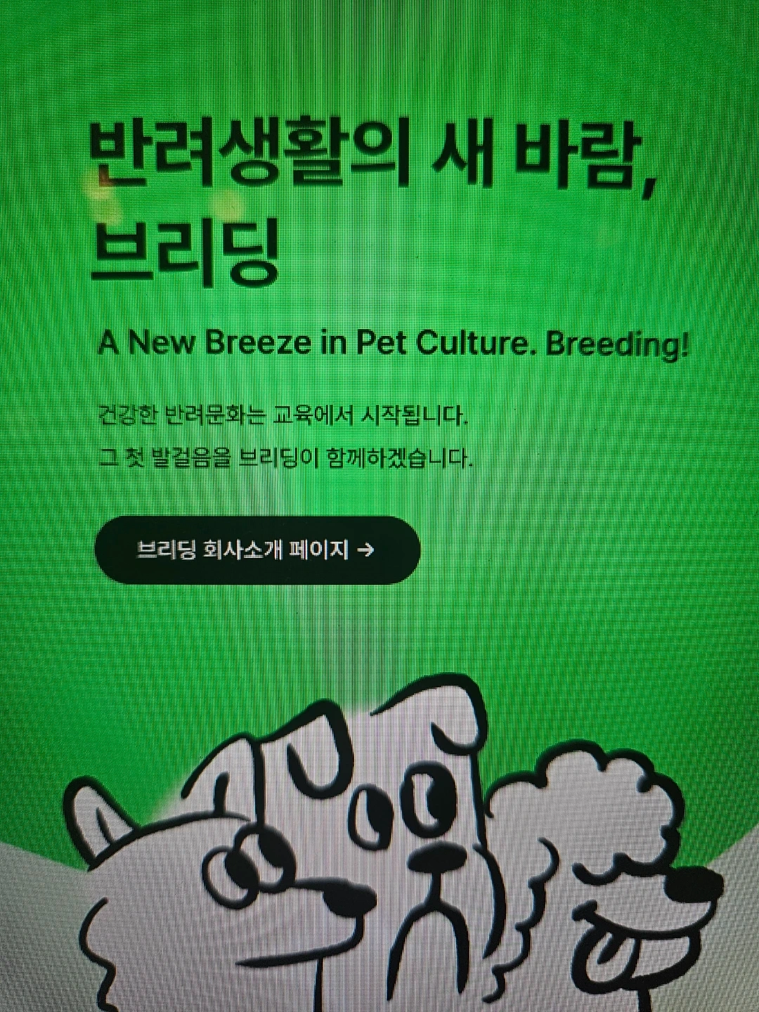 개린이 유치원 선생님들! 훈련사님들!!!
