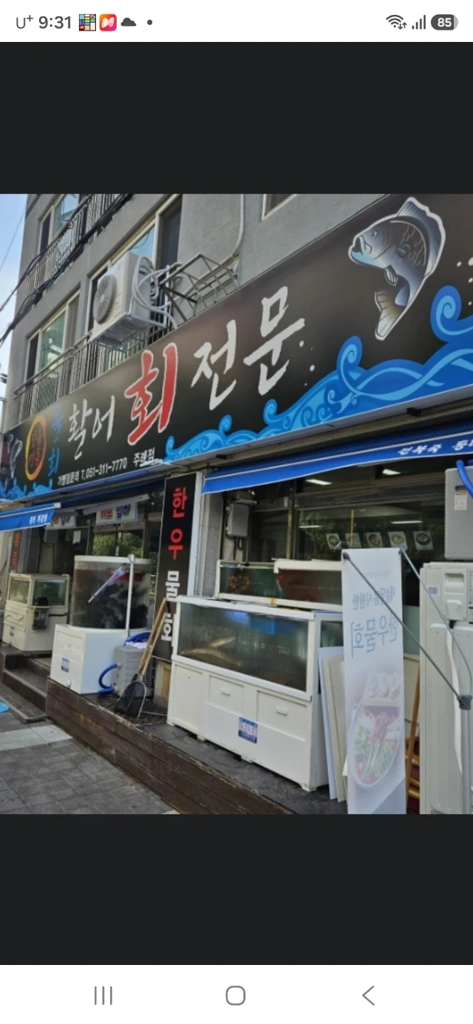 실장님, 주방장(회 뜰 줄 아는 분) 구합니다.