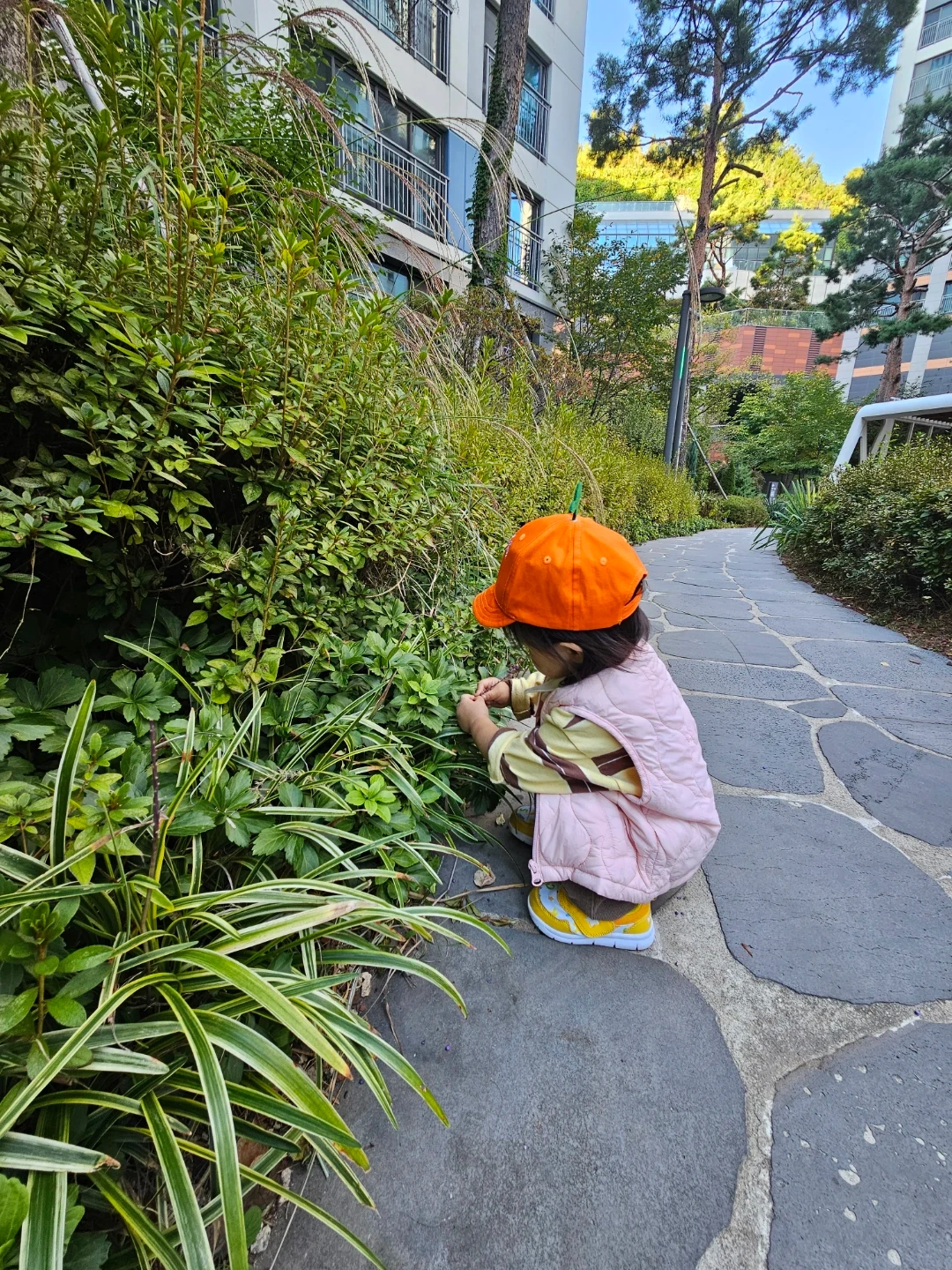 19개월 여아 하원도우미 모십니다