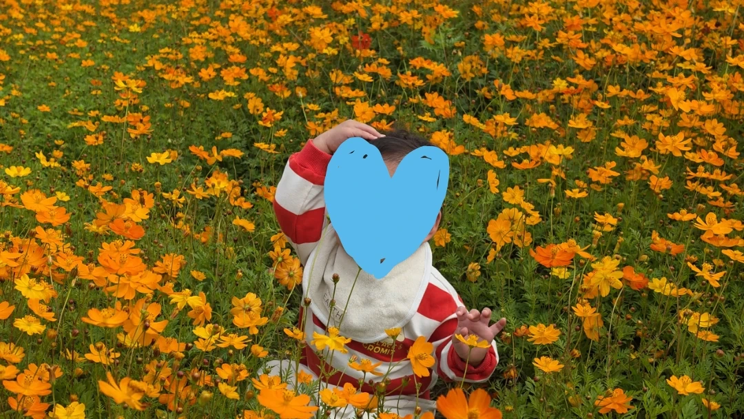 14개월 아기 등하원 선생님 구합니다