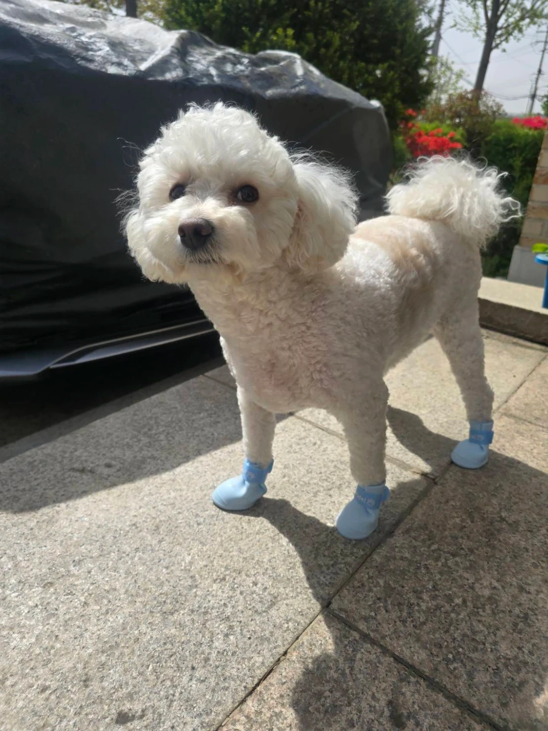 택배 배송보조