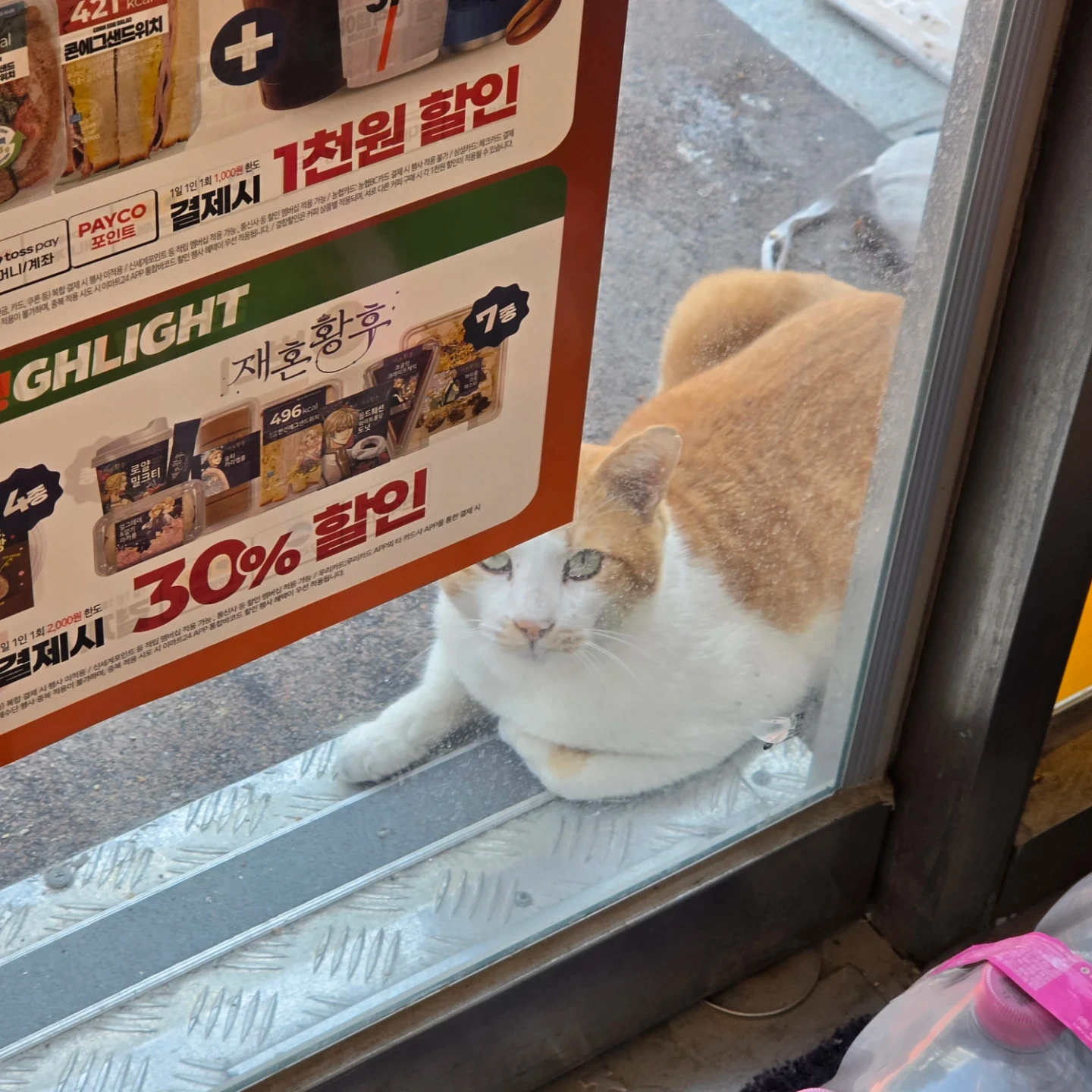 내일 단기 하루