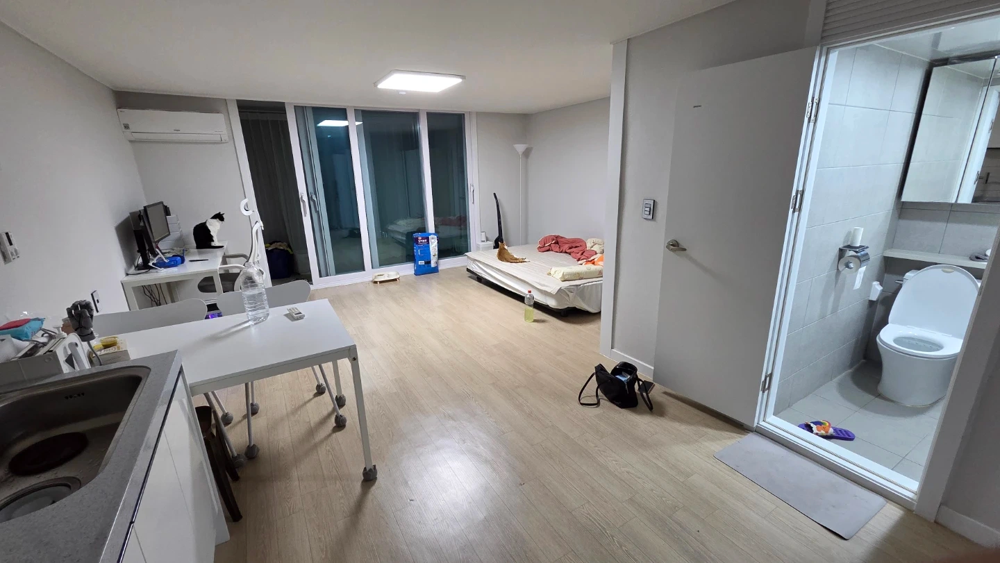 고양이 화장실 청소 + 방청소