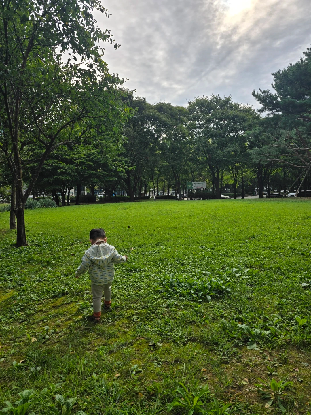 등원이모님 구해요 : )