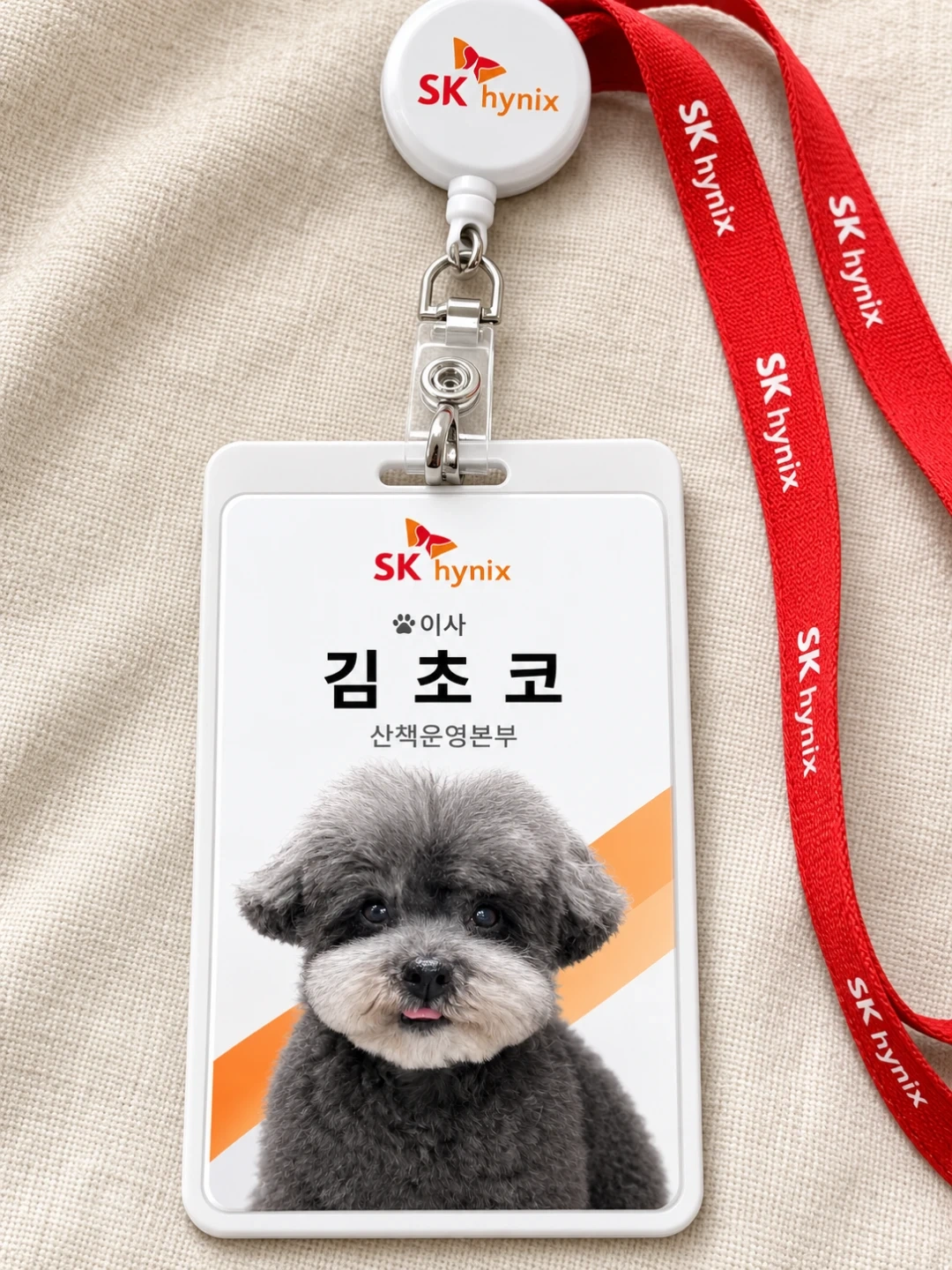 대호동물병원에서 직원을 모집합니다