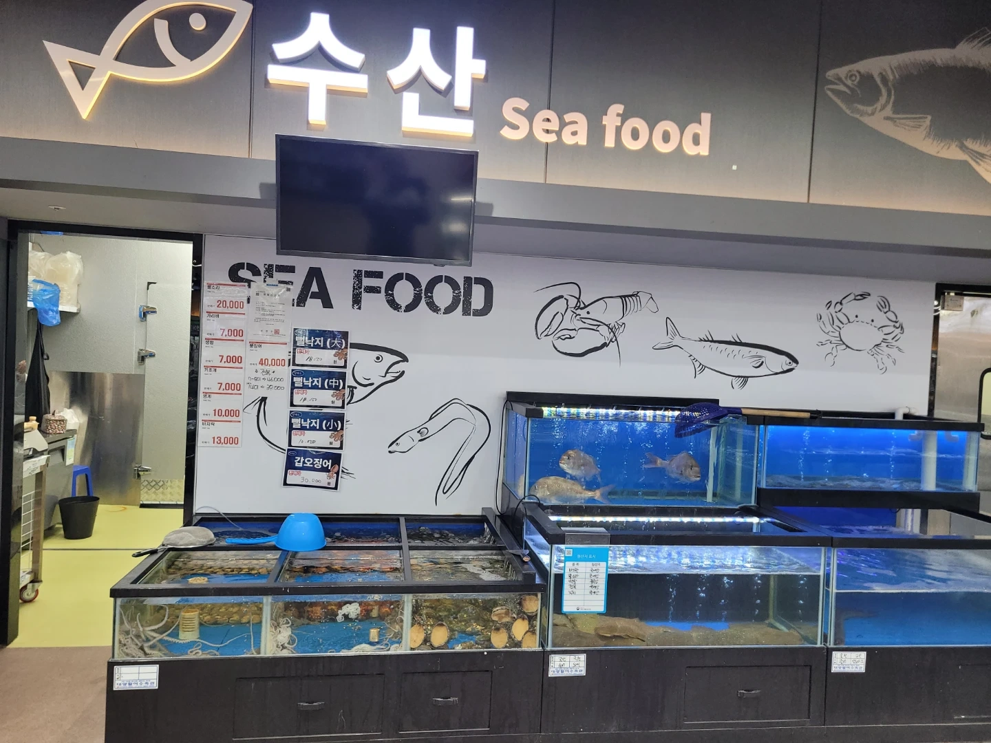 수산코너 남직원 구합니다 초보자환영