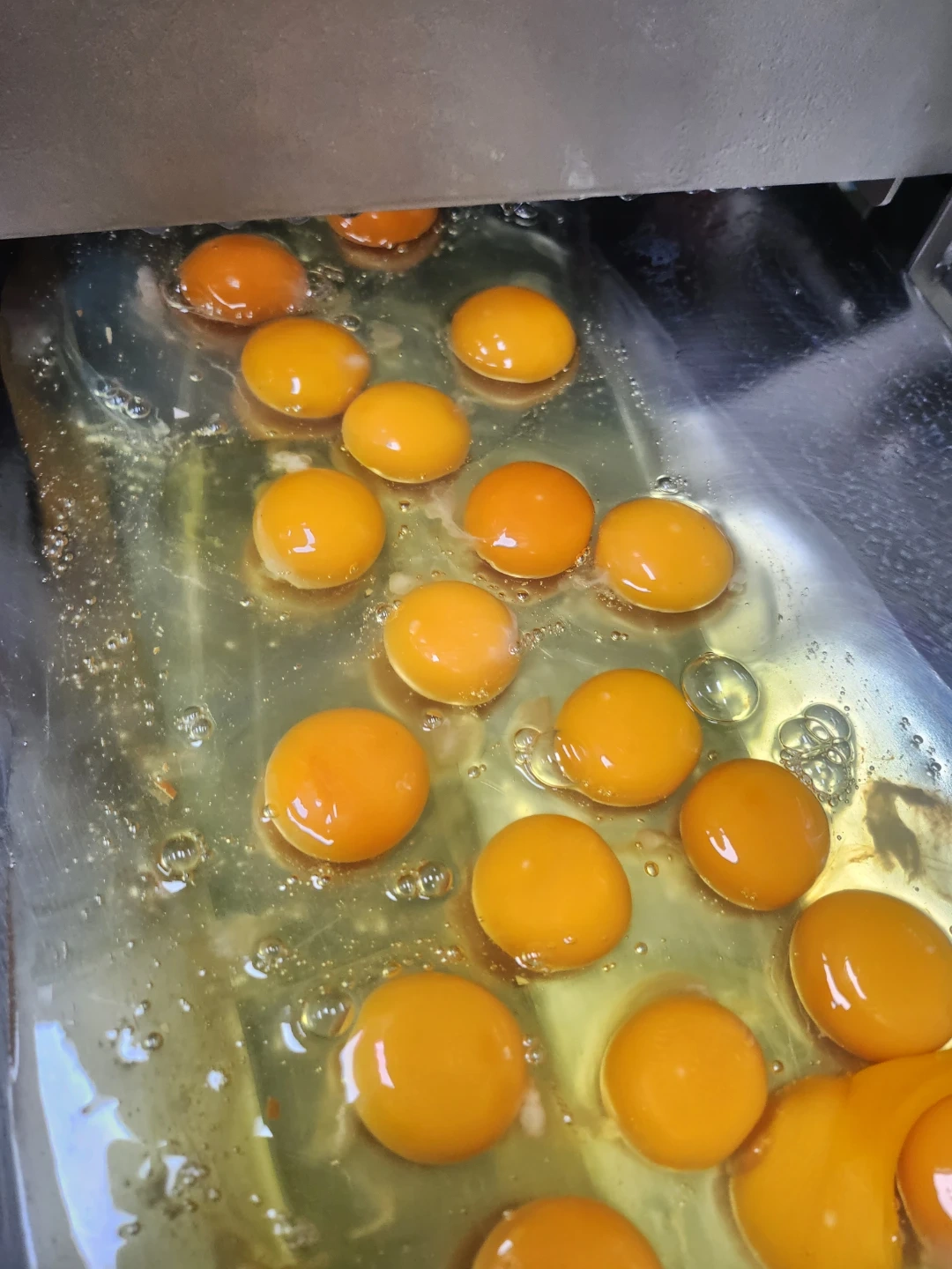 (주)한알 아르바이트 하실분 (내용 확인 필수!!!)
