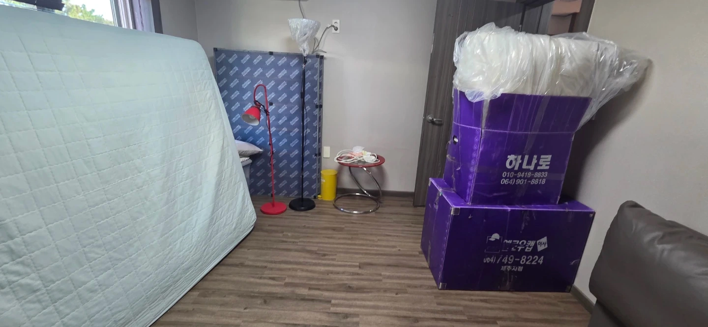 이삿짐 정리 도와주실분