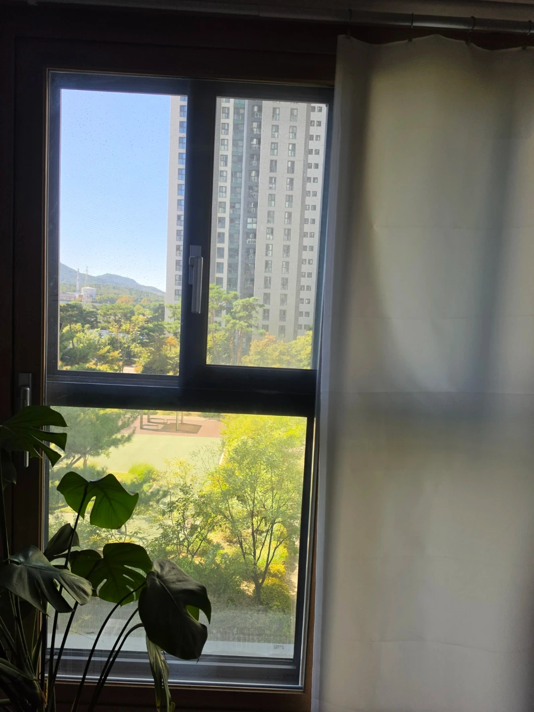 입주 도우미 구함니다