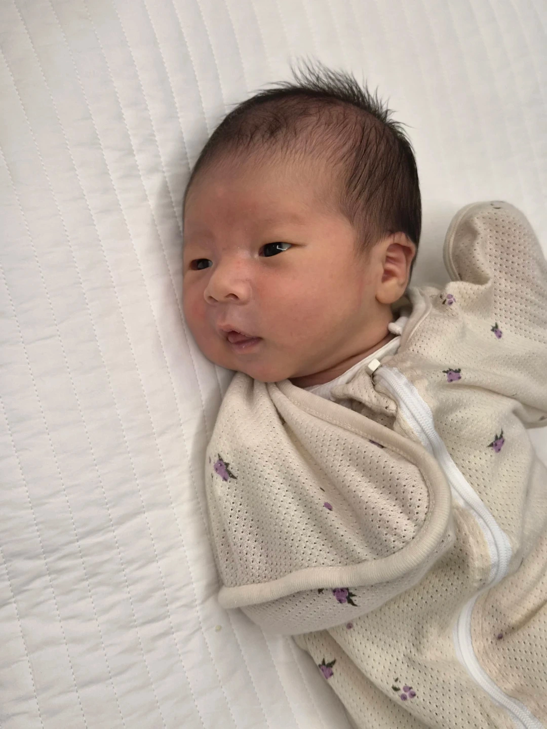 50일 아기 베이비시터 구합니다