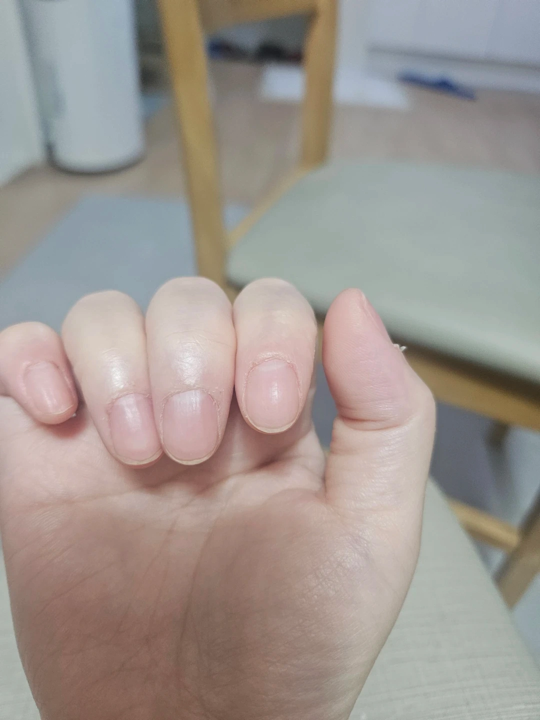 국시시험 네일모델구합니다