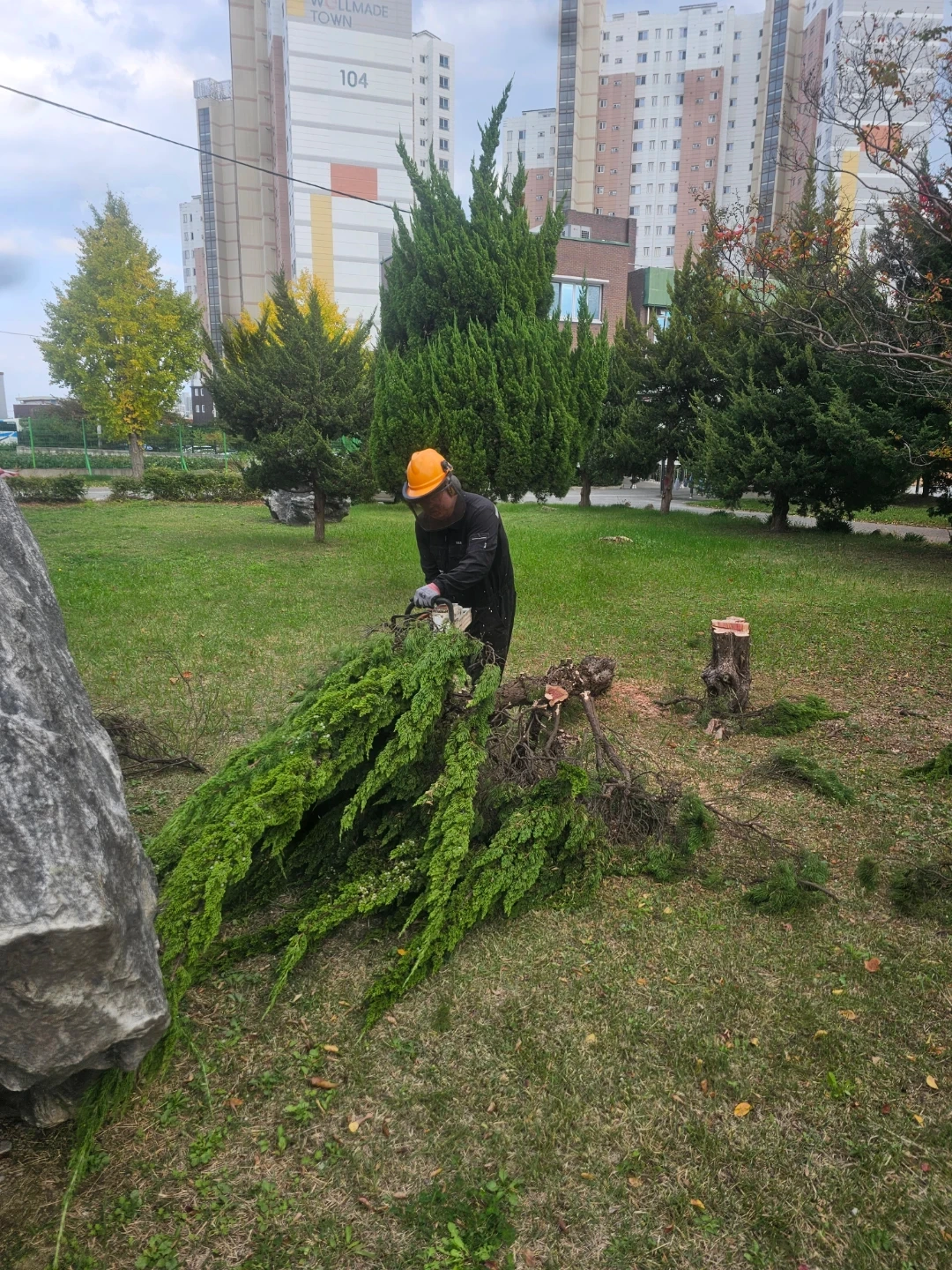 광희고등학교 조경,벌목 잔가지 정리 인력 2명 모집