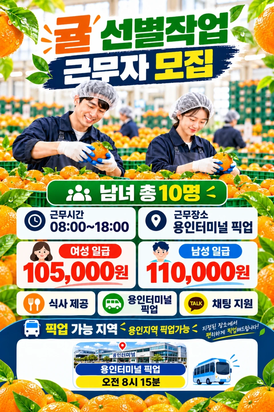 귤 선별작업 알바 모집합니다!(프레시패킹)